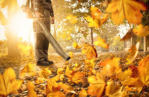 Leaf Blowing Service in Napa