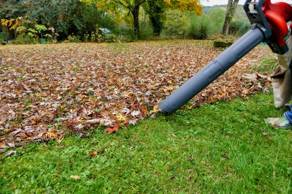 Leaf Vacuuming Service in Napa