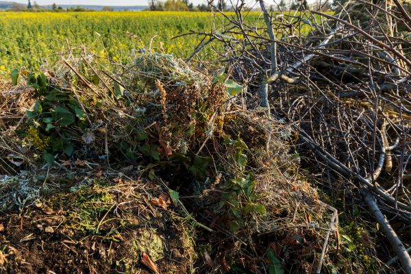 Cost of Brush Disposal in Napa