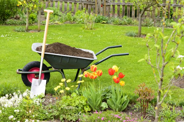 Spring Yard Cleanup in Napa