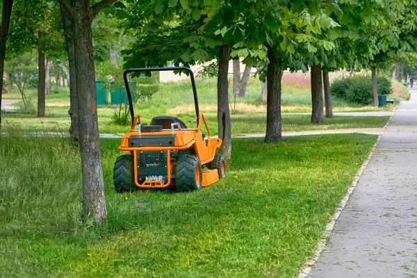 Landscaping Cleanup Service in Napa