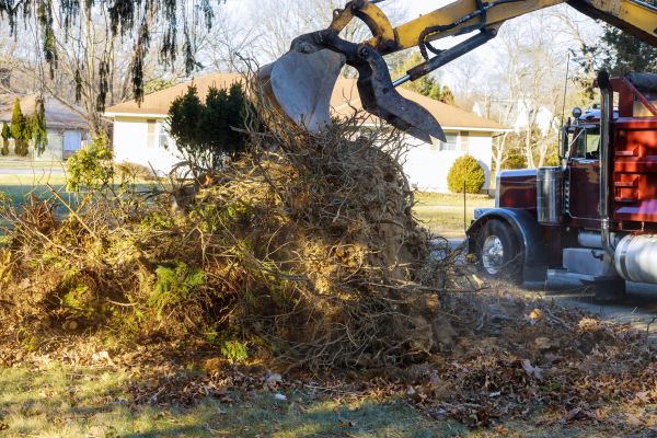 Cost of Storm Debris Removal in Napa