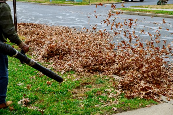 Garden Leaf Removal in Napa