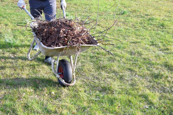 Cost of Yard Brush Removal in Napa
