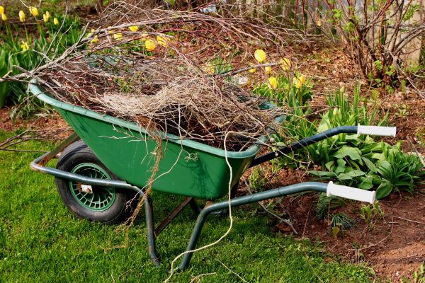 Cost of Lawn Waste Removal in Napa