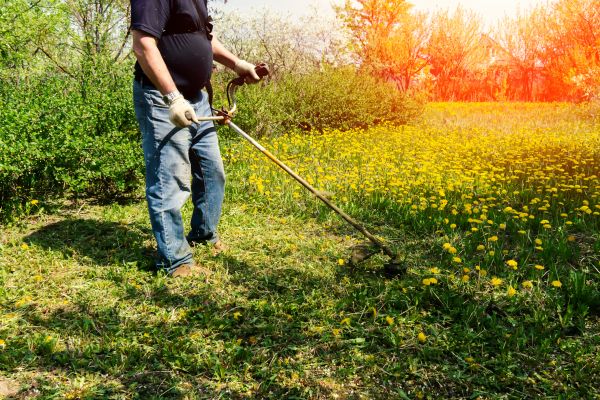 Yard Clearing Service in Napa