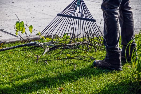 Yard Debris Cleanup in Napa
