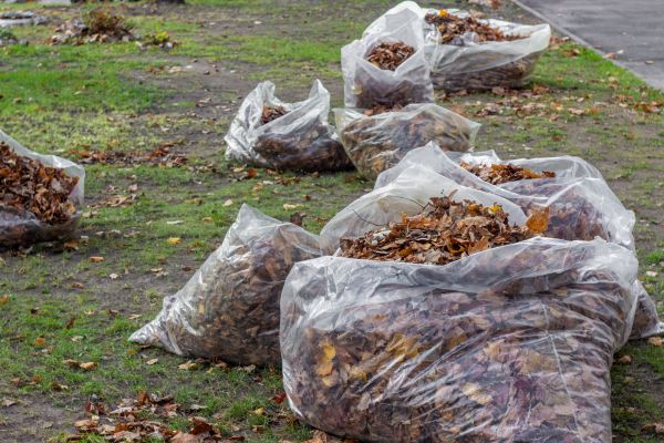 Leaf Pile Disposal in Napa