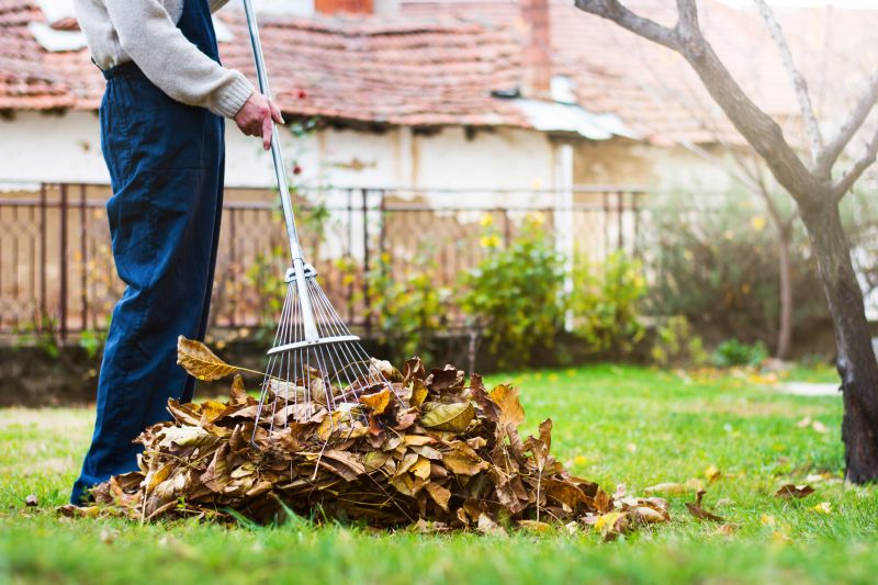 Tree-lined Property with Fallen Leaves