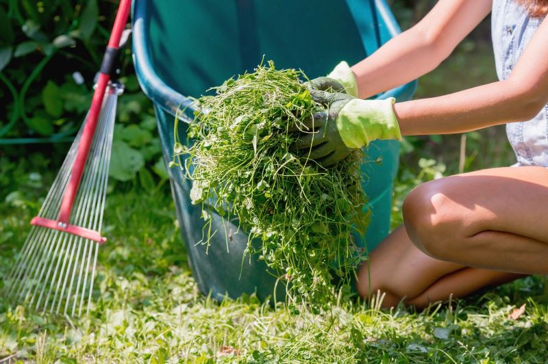 Seasonal Lawn Maintenance
