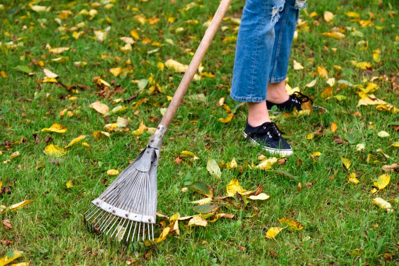 Leaves Raking